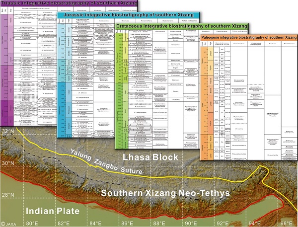 南京古生物所在青藏高原三疊紀—古近紀生物地層學研究取得新進展