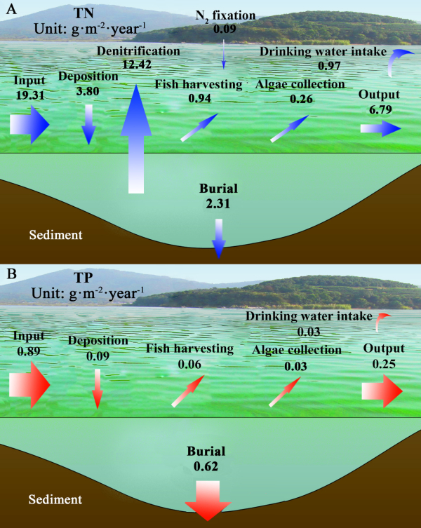 内源营养盐循环对太湖蓝藻水华态势的影响研究取得进展